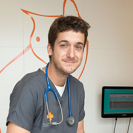 Hospital Veterinario Buenavista